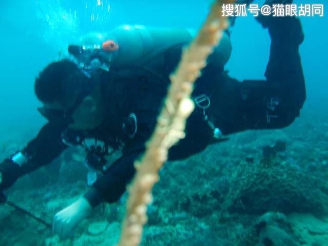 智慧蜗牛,你后悔读研吗?读研之后你找到自己喜欢的工作了吗?问答平台